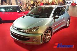 Body Kit Peugeot 206 Modena